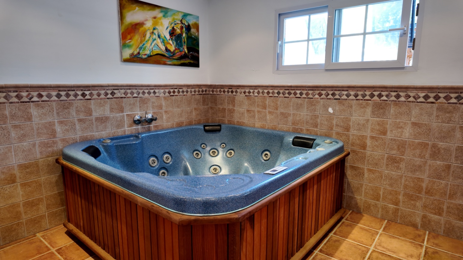 Gjestehus med jacuzzi, badstue og kino