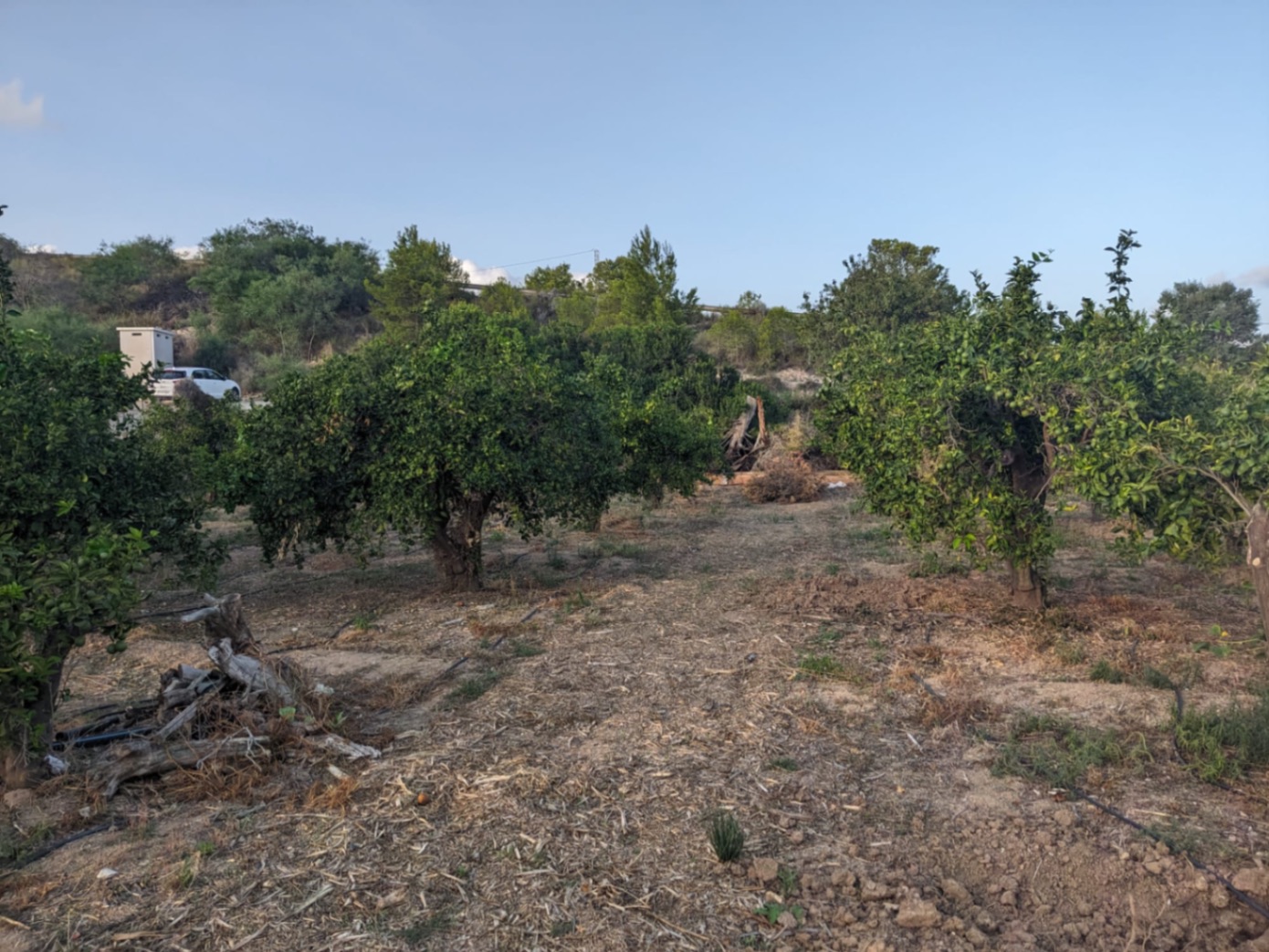 Terreno rural con casita en La Nucia
