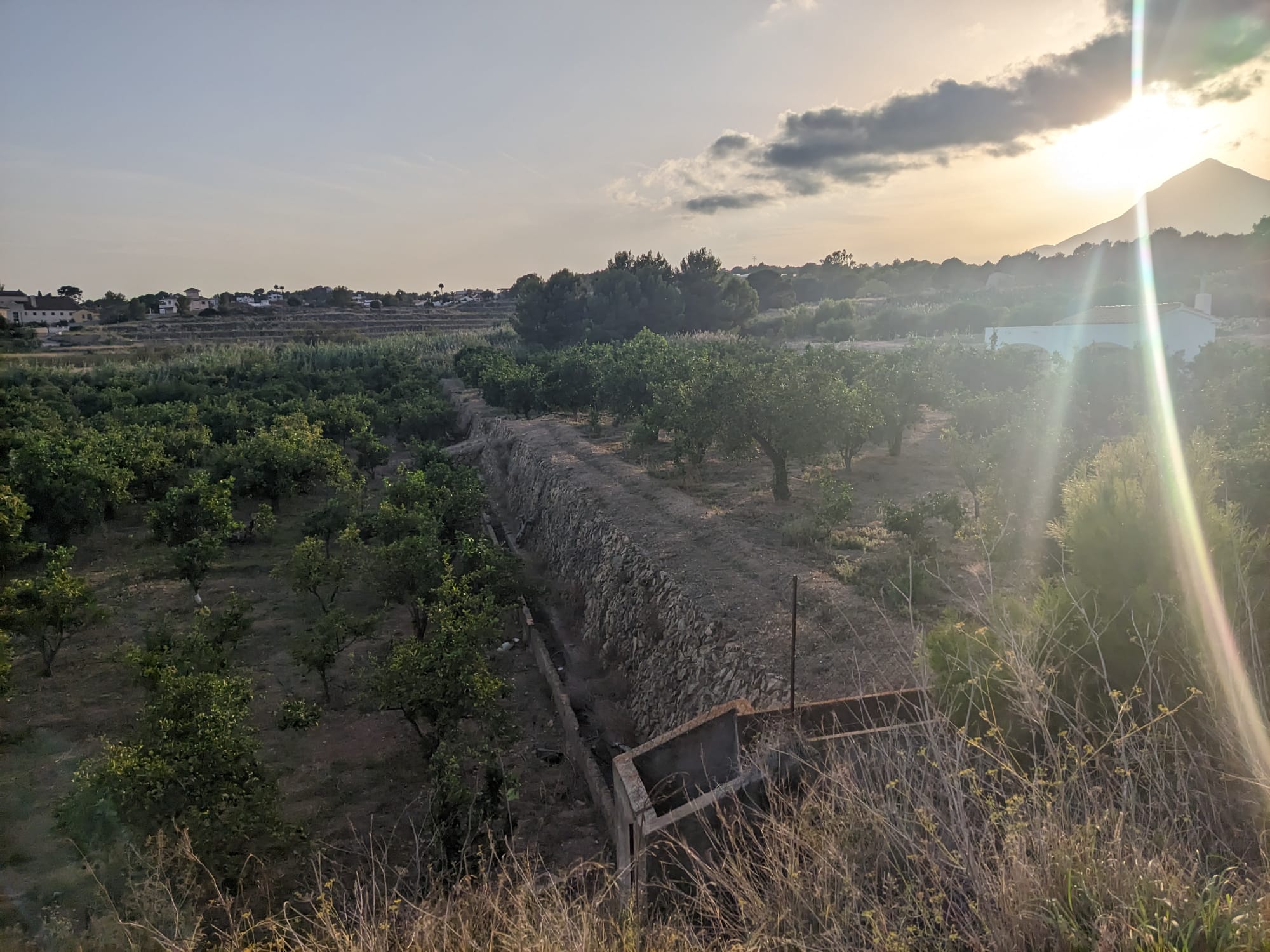 Terreno rural con casita en La Nucia