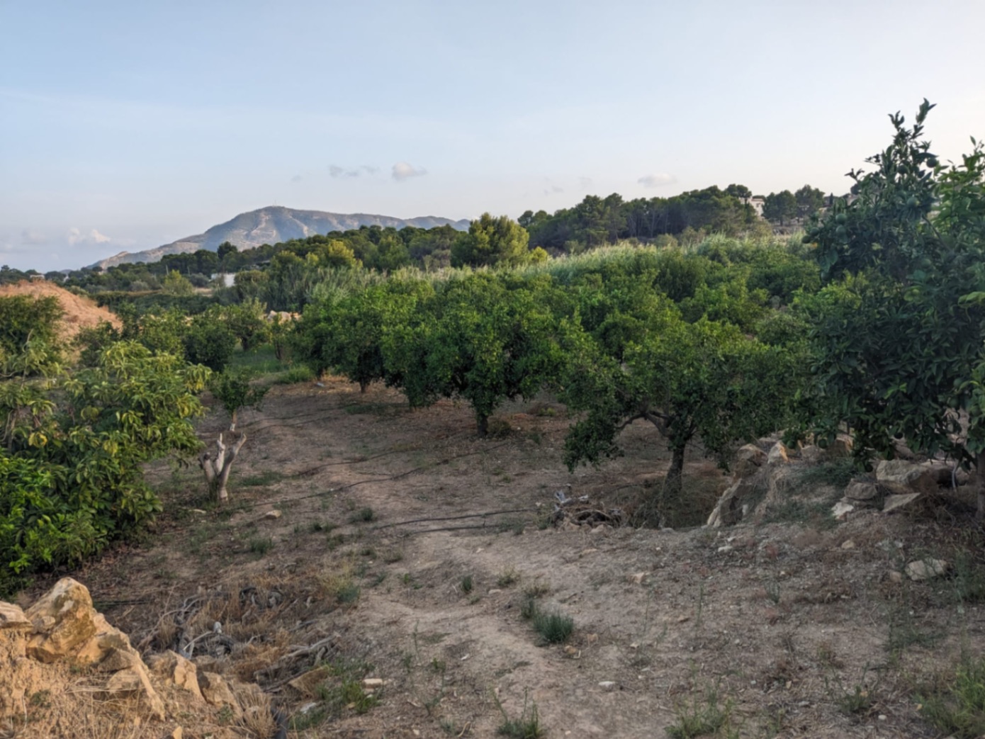 Terreno rural con casita en La Nucia