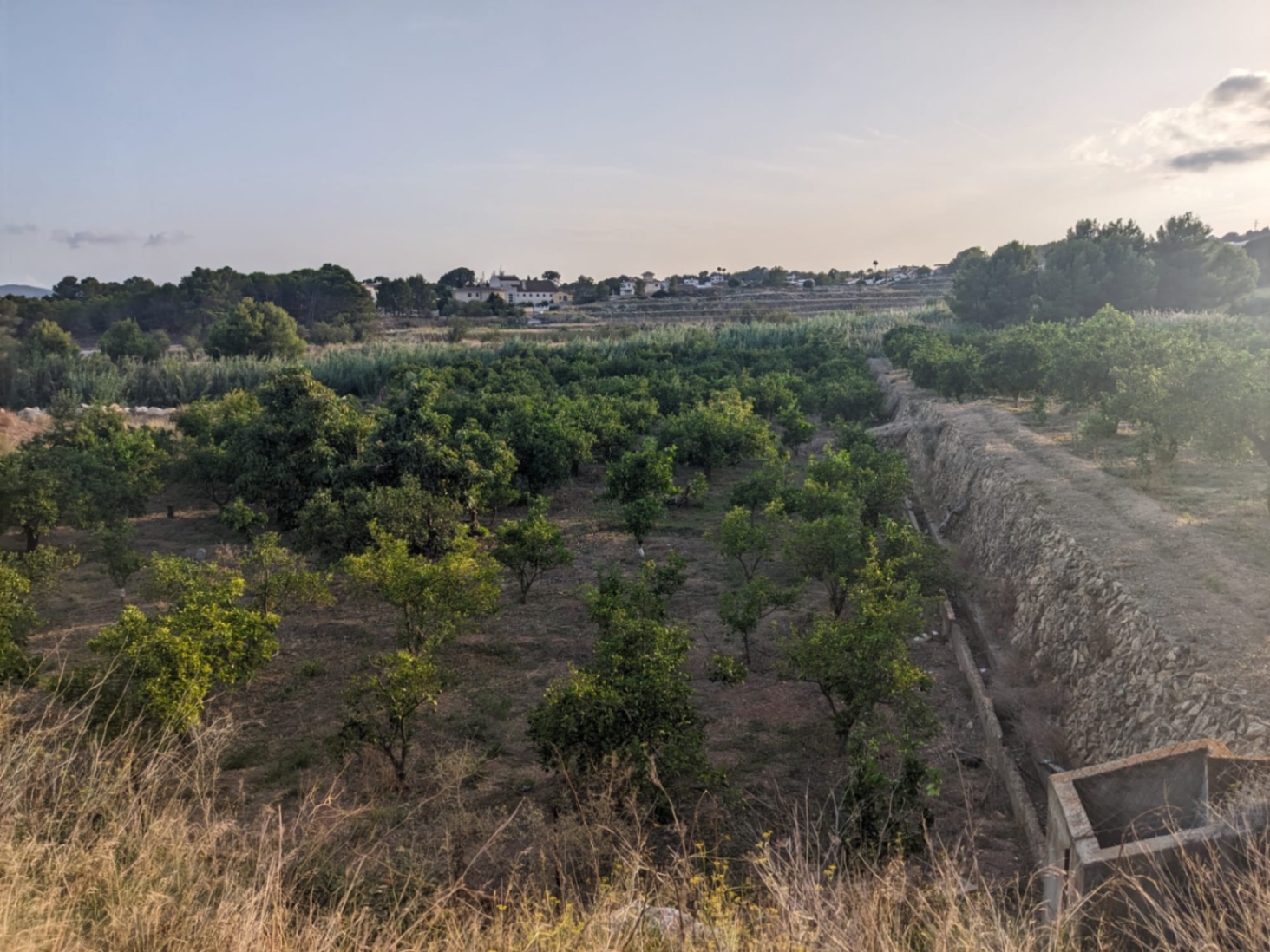 Terreno rural con casita en La Nucia